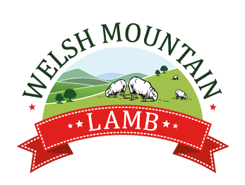 Welsh Mountain Lamb